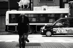 自転車＆バス＆タクシー