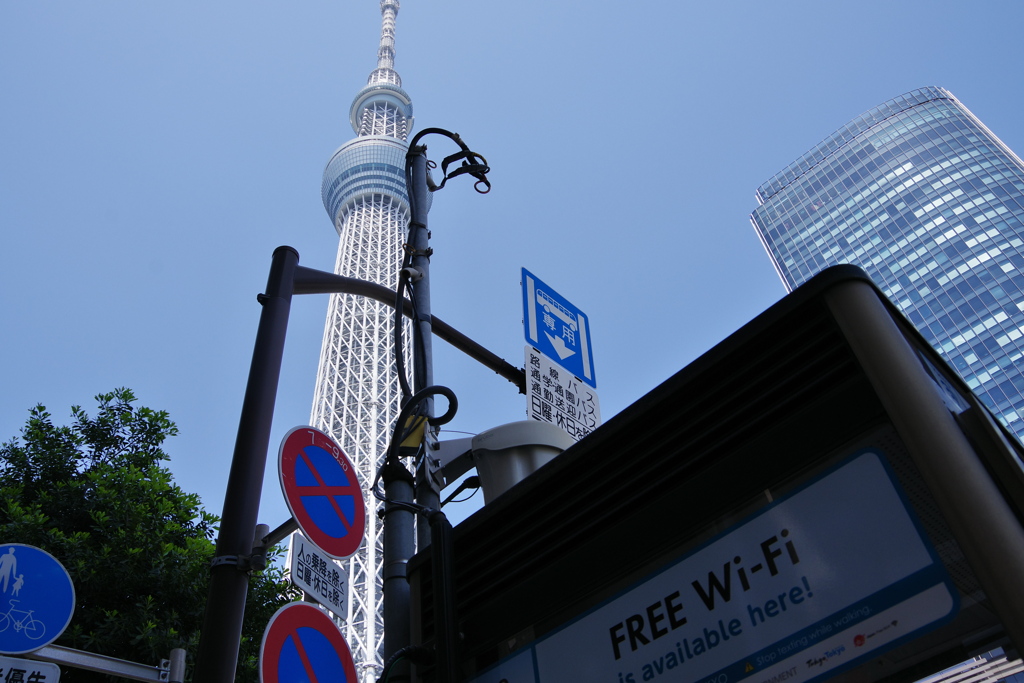 スカイツリーを見上げる