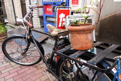自転車に鉢