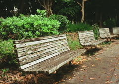 公園のベンチ