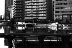 運河とマンション