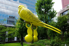 黄色の鳥