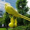 黄色の鳥
