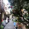 月島の路地