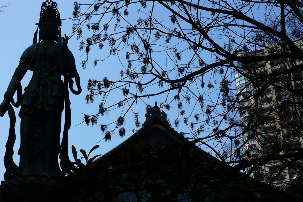青松寺