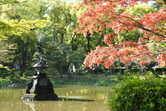 日比谷公園の噴水