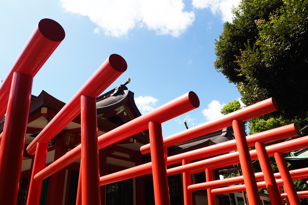 赤い鳥居