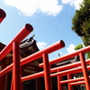 赤い鳥居