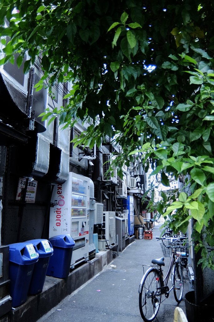 不法投棄禁止