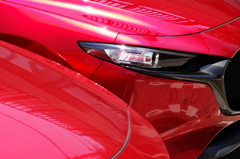 RED BODY