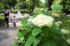 新宿中央公園