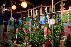 ほおずき市