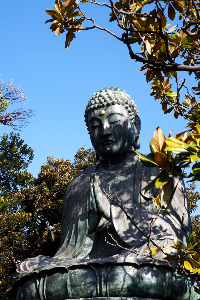 銅造釈迦如来坐像