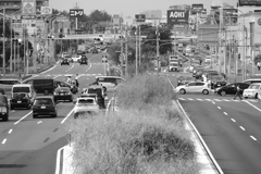 幕張公園交差点