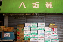 八百屋ダンボール
