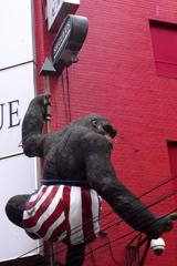 アメリカンゴリラ