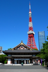 増上寺とタワー