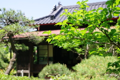 千葉市ゆかりの家・いなげ