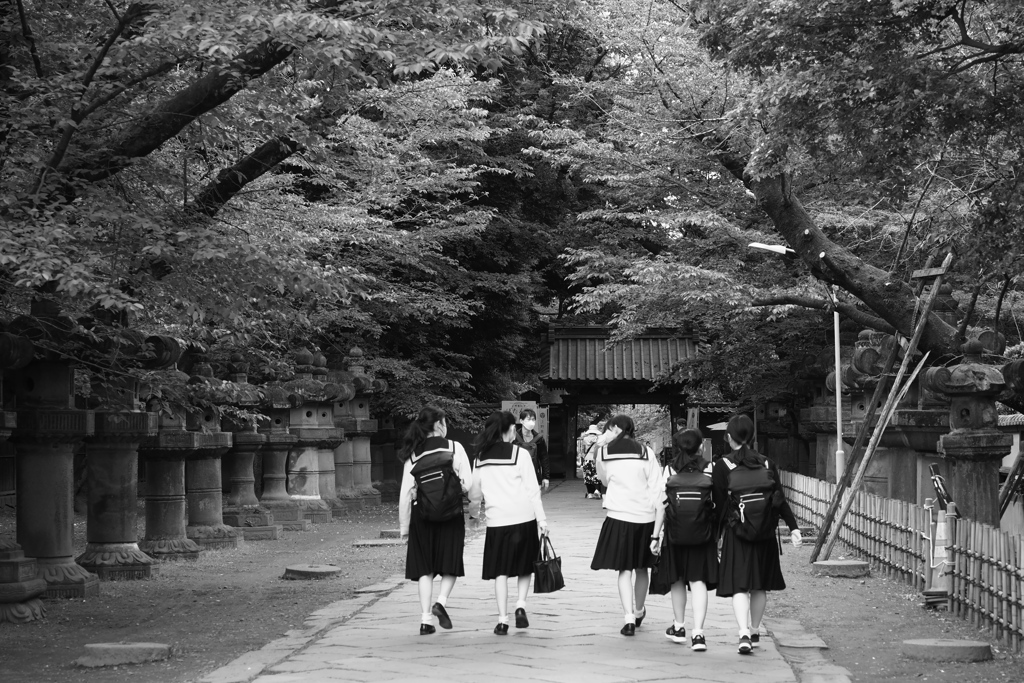 上野東照宮参道
