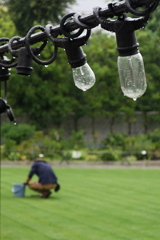 雨の中の手入れ