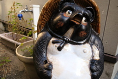 田町のたぬき