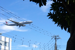 電線と飛行機
