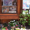 タネの専門店