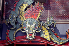 龍