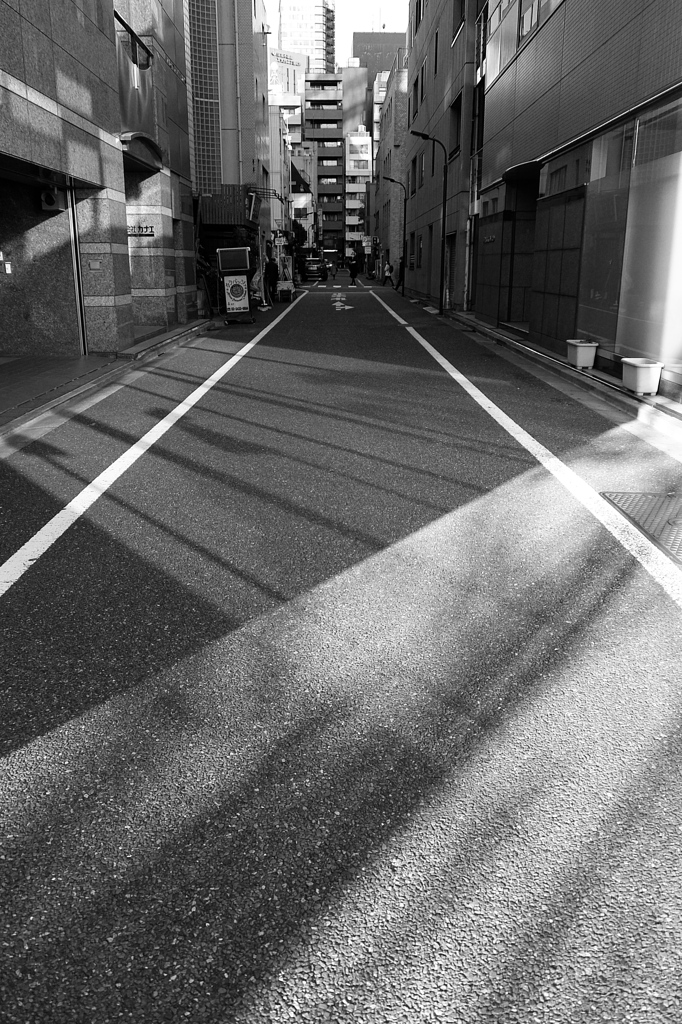 反射する朝日