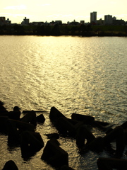 江戸川の夕暮れ