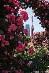 FLOWER TOWER