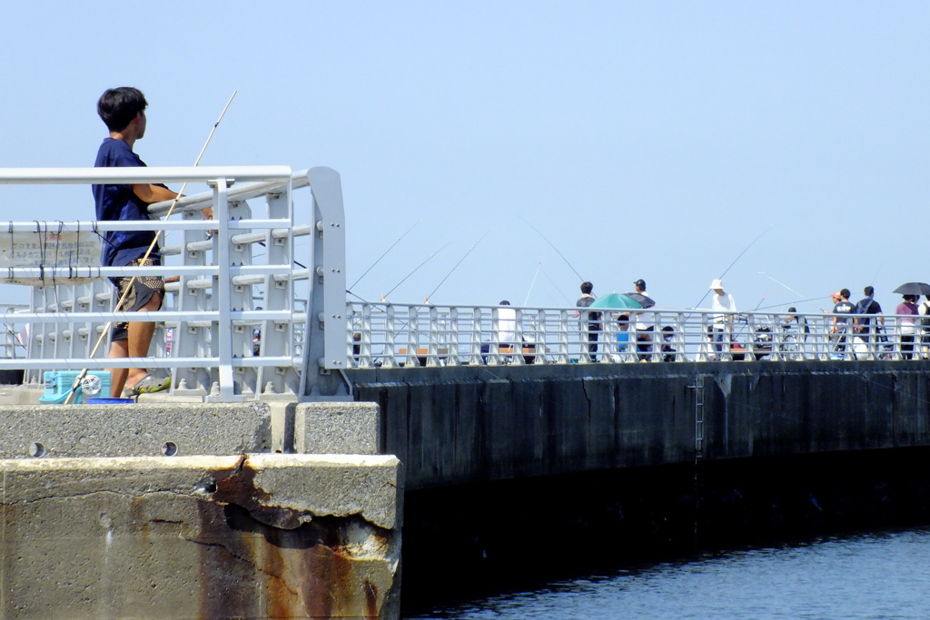 突堤の釣り人達