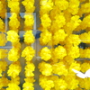 黄色の花と蝶