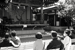 津軽三味線待ち