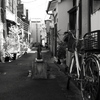 道に井戸