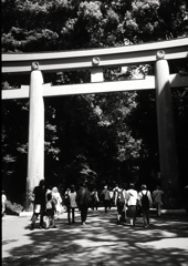 明治神宮 鳥居 (FILM)