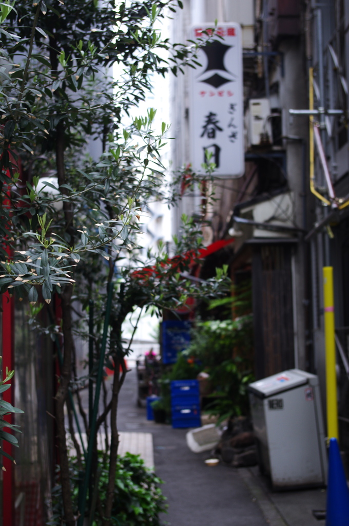 銀座の裏通り