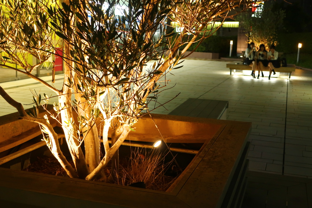 夜のおしゃべり