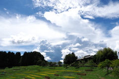 夏空と棚田