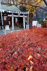 大井蔵王権現神社