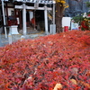 大井蔵王権現神社