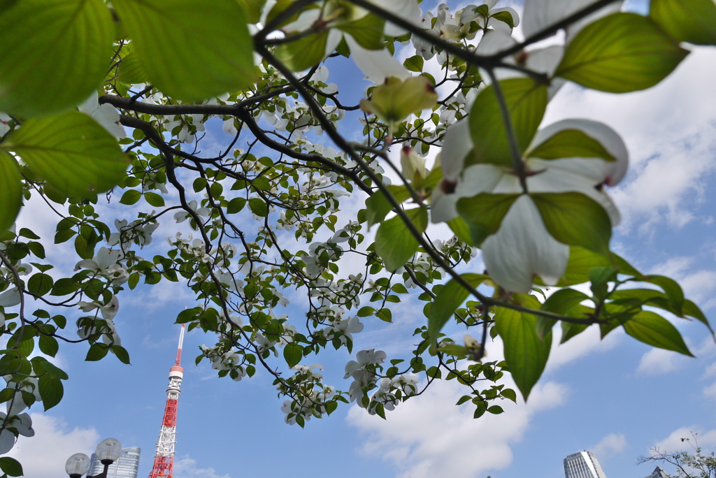 芝公園