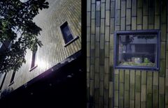 緑のビル 緑のビル