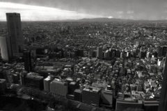 都庁からの景色