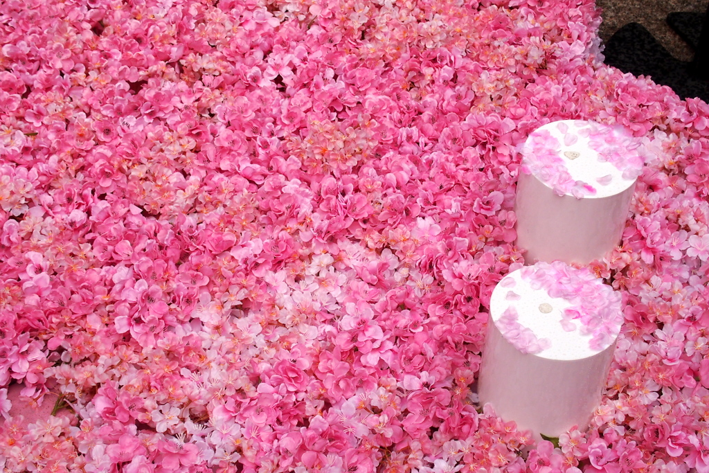 花びらディスプレイ