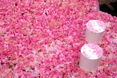 花びらディスプレイ