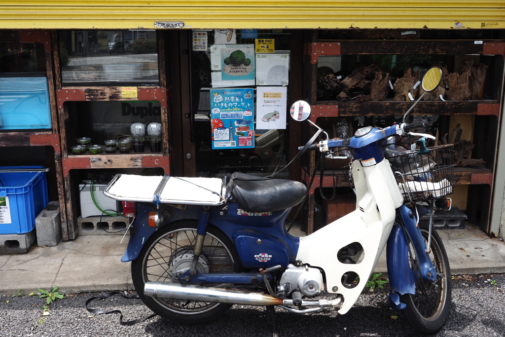 ペットショップ