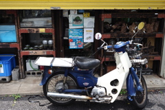 ペットショップ