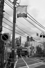 代々木の踏切