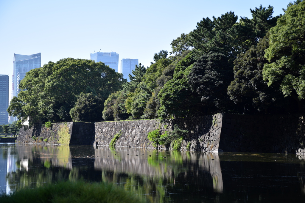 皇居の堀